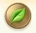 Fresh green herbal leaf